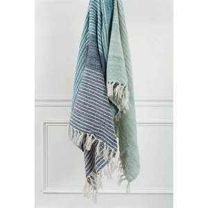 lot 6182 image: 50x60 Stripe Throw Blanket BlueGreen - Rizzy Home