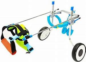 lot 23682 image: Hi Hydro Pet Wheelchair Training Behavior Aids