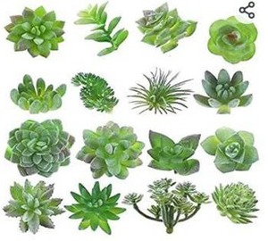 lot 23880 image: MaxZone Artificial Succulents