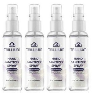 lot 23856 image: Hand Sanitizer Spray Bottles 4Pk 4oz Each