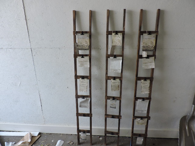 lot 1257 image: PHOTO LADDERS