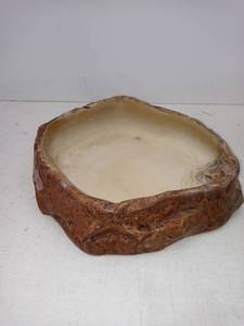 lot 1524 image: Exo Terra Weighted Reptile Feeding Dish