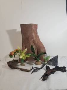lot 2077 image: Lot of Assorted Enclosure Decor