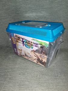 lot 4272 image: Lees Aquarium KRITTER KEEPER RECTNGLE SM - Lid Blue