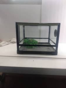 lot 5334 image: Reptile Terrarium