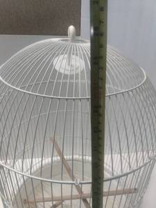 lot 5339 image: YML A1594 Bar Spacing Round Bird Cage Large