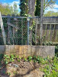 lot 3210 image: 3 Garden Trellis - 1 Missing Glass Insert