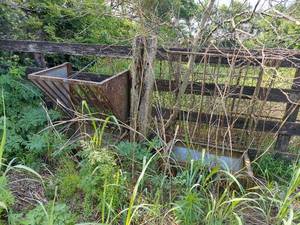 lot 6101 image: 2 Hanging Feed Bunks - Tree Growing thru 1, Bring Tools to Remove if You Want it