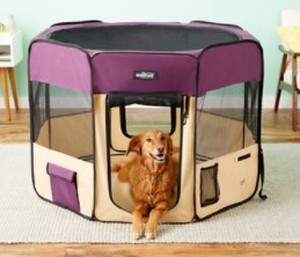 lot 1617 image: Pet Enclosure