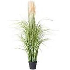 lot 56554 image: 55 Tall IndoorOutdoor Artifical Pampas Grass in Growe (Cream)
