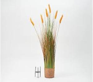 lot 56680 image: Barbra King Indoor Outdoor 36 inch Artificial Decorative Grasses Plume