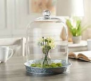 lot 56705 image: Home Reflections Large Glass Cloche with Base
