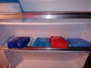 lot 7001 image: Five Piece Lot Of 5 Various Sized Freezer Packs