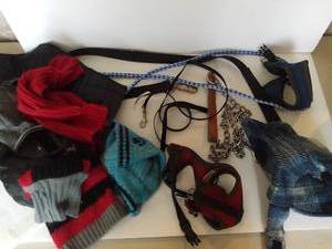 lot 5034 image: Lot of Dog Leashes and Small Sweaters