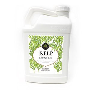 lot 25761 image: Age Old Kelp Liquid Fertilizer, 2.5-Gallon Bottle