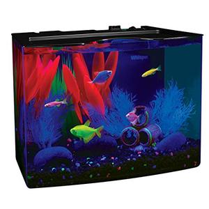 lot 47749 image: GloFish Crescent Aquarium Kit 5 Gallons, Includes Hidden Blue LED Light And Internal Filter