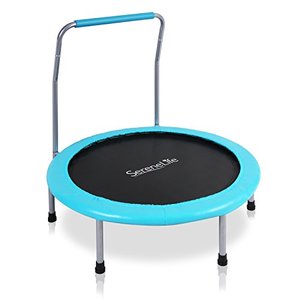 lot 47949 image: SereneLife 36 Inch Portable Fitness Trampoline - Sports Trampoline for Indoor and Outdoor Use - Professional Round Jumping Cardio Trampoline - Safe for Kid wPadded Frame Cover and Handlebar
