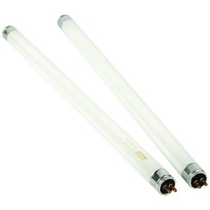 lot 29242 image: BULB F8T5CW 8 WATT 12IN, 2CARD