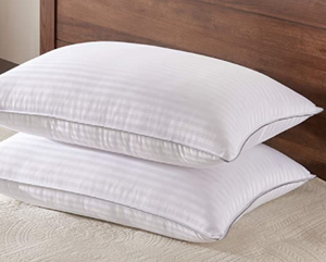 lot 29346 image: Basic Beyond OEKOTEX STANDARD PILLOWS (SET OF 2)