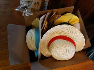 lot 19626 image: Box of Womens Summer Hats and Oz Finger Puppets