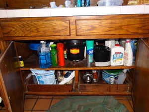 lot 19960 image: Cleaning Supplies under Sink