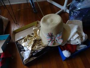 lot 35103 image: Lot of Misc. Hats and Gloves
