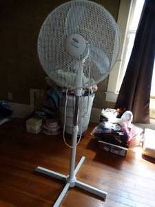 lot 35296 image: Oscillating Pedestal Fan