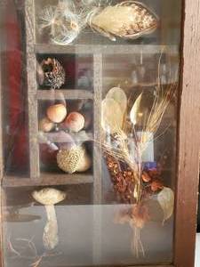 lot 1409 image: Nice Display glass shelf with Barbwire, acorns, Wheat etc..