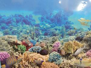 lot 21766 image: 1000 Piece Jigsaw Puzzles for Adults - Fishes Sea Coral Marine Theme