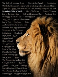 lot 4563 image: Lion of Judah Wall Chart - Laminated