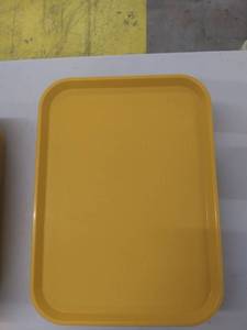 lot 4831 image: 17 Serving Trays Used