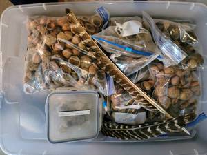 lot 5399 image: Large Tub Bin Full of Crafting Supplies Acorns, Feathers, Seashells ...