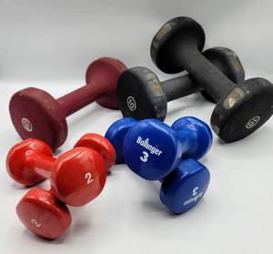 lot 5406 image: Hand Weights - 10lb, 8lb, 3lb and 2lb
