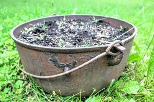 lot 5309 image: Cast Iron Gardening Pot 26 Diameter
