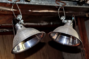 lot 5326 image: (2) Aluminum Clamp Grow Lights, Shop Lights