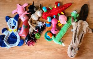 lot 5462 image: Large Lot of Dog Toys 12 toys