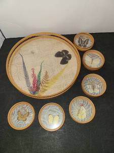 lot 1070 image: Interpur Pressed Butterfly Tray with 6 Coasters