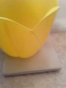 lot 1502 image: Tulip Shaped Trash Can and Bathroom Scales