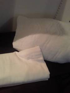 lot 1553 image: QUEEN Size Mattress Protector and a KING Size Flat Sheet