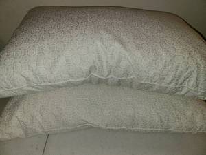 lot 1644 image: 2 Bed Pillows