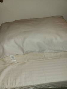 lot 1645 image: 2 Bed Pillows and a Wedge