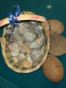 lot 2180 image: Coconut shells and basket of seashells