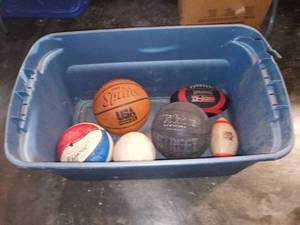 lot 3092 image: Sports Balls with Tote