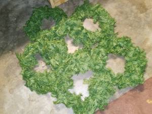 lot 3096 image: Holiday Wreaths Lot of 6