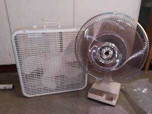 lot 3168 image: Box Fan with Oscillating Fan