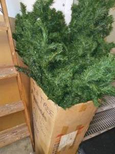 lot 3187 image: Christmas Tree Unknown Size
