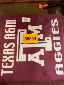 lot 55815 image: Texas A & M Stadium Cushion
