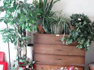 lot 24183 image: Large Lot of Faux Plants and Tree  With Cabinet with Folding Chair