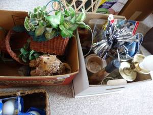 lot 24168 image: Kitchen Decor  Light Bulbs  Dallas Cowboys Cups