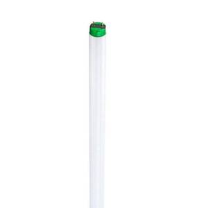 lot 47194 image: Philips 15-Watt 18 in. Linear T8 ALTO Fluorescent Tube Light Bulb Daylight Deluxe (6500K)
